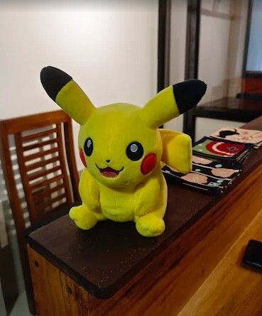 Ogawa-Japanese-Cafe-2