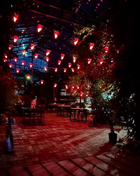 Smoke-Culture-By-Steve-Edappally-3