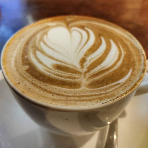 𝘊𝘢𝘱𝘱𝘶𝘤𝘤𝘪𝘯𝘰